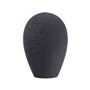 AKG W32 WINDSHIELD